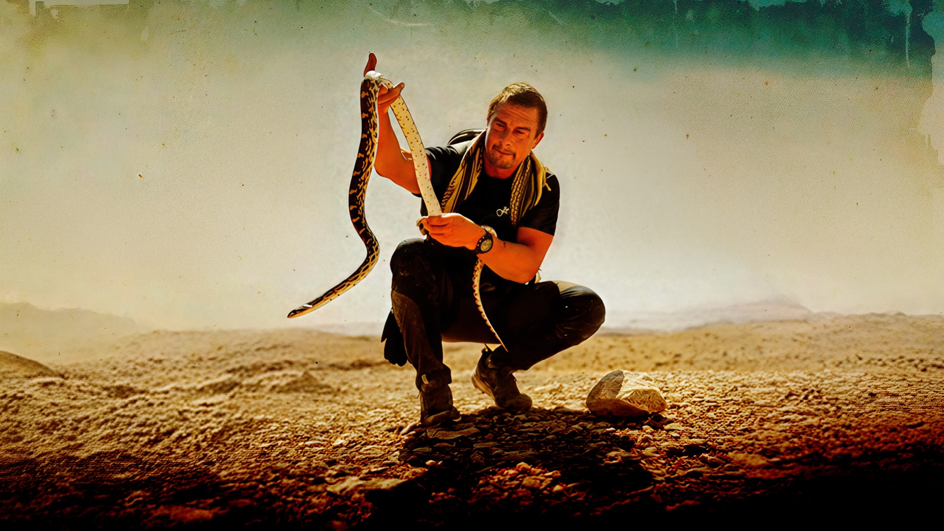Bear Grylls